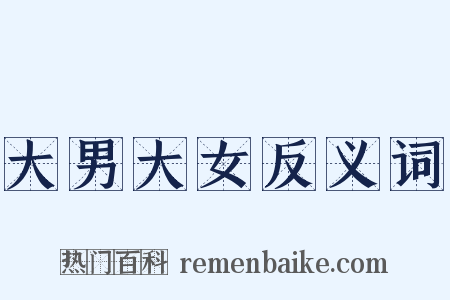 大男大女反义词是什么意思的图片